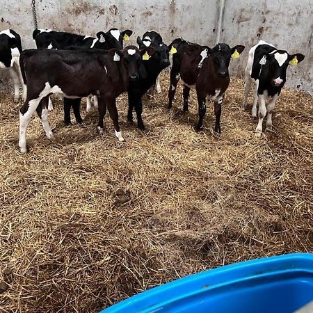 Lacken Farmyard Kilmihil Ngoại thất bức ảnh